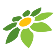 PG SOFT